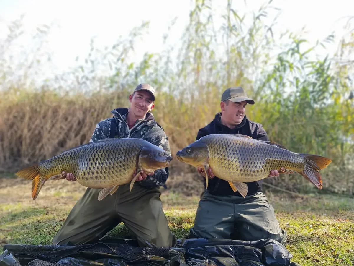 Customer carp catch on Mean Baits – photo 7