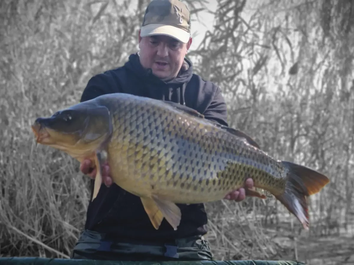 Customer carp catch on Mean Baits – photo 8