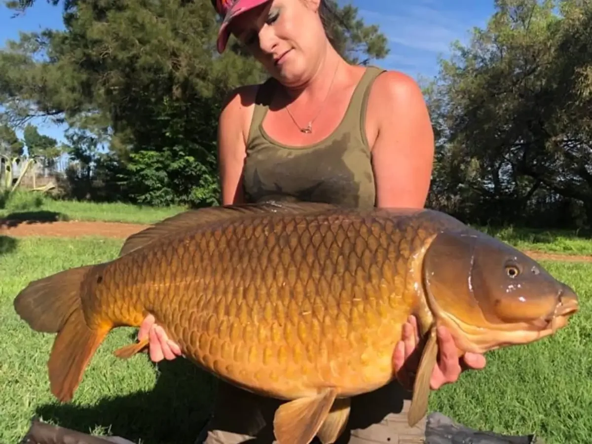 Customer carp catch on Mean Baits – photo 9