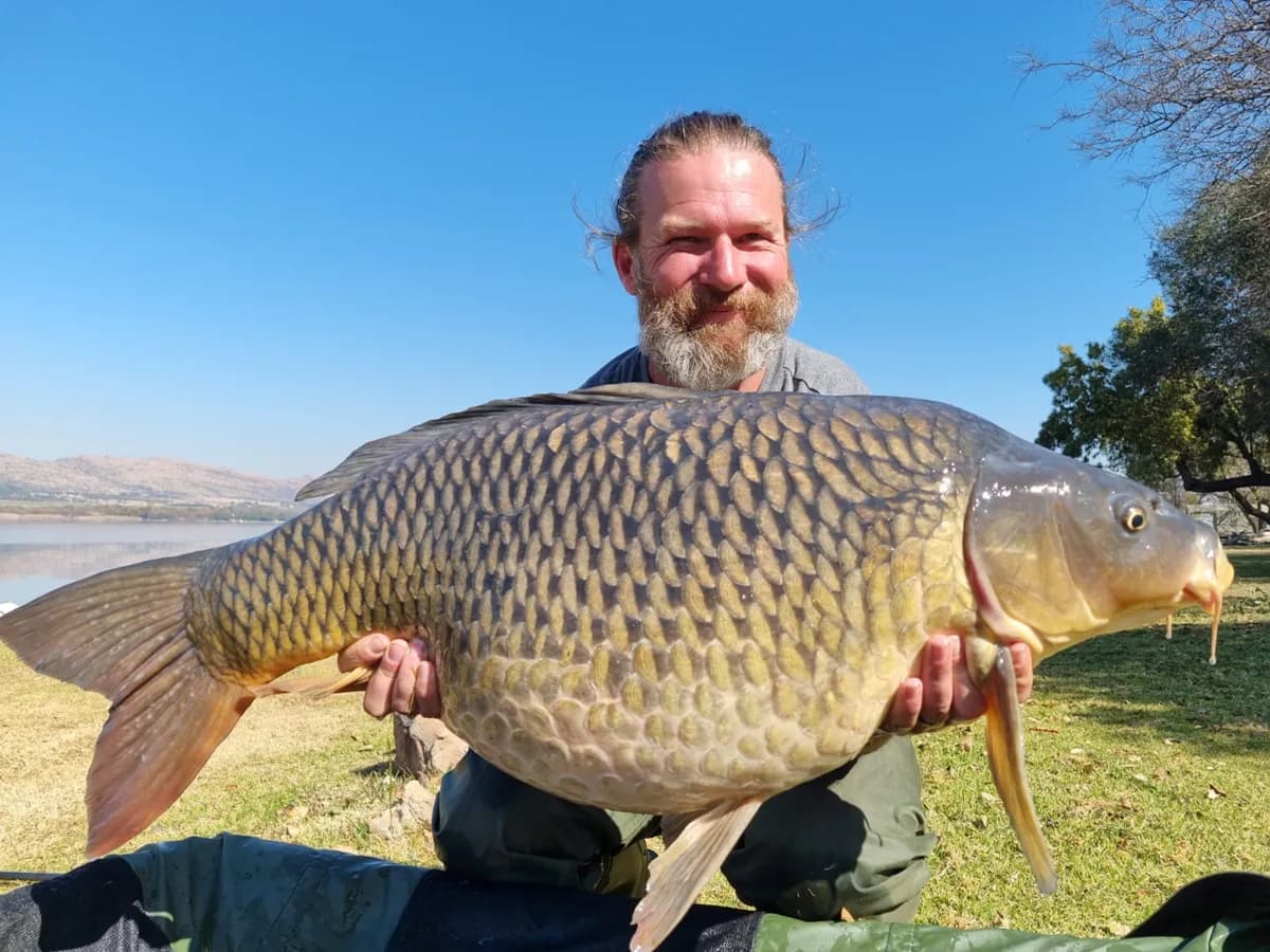 Customer carp catch on Mean Baits – photo 10