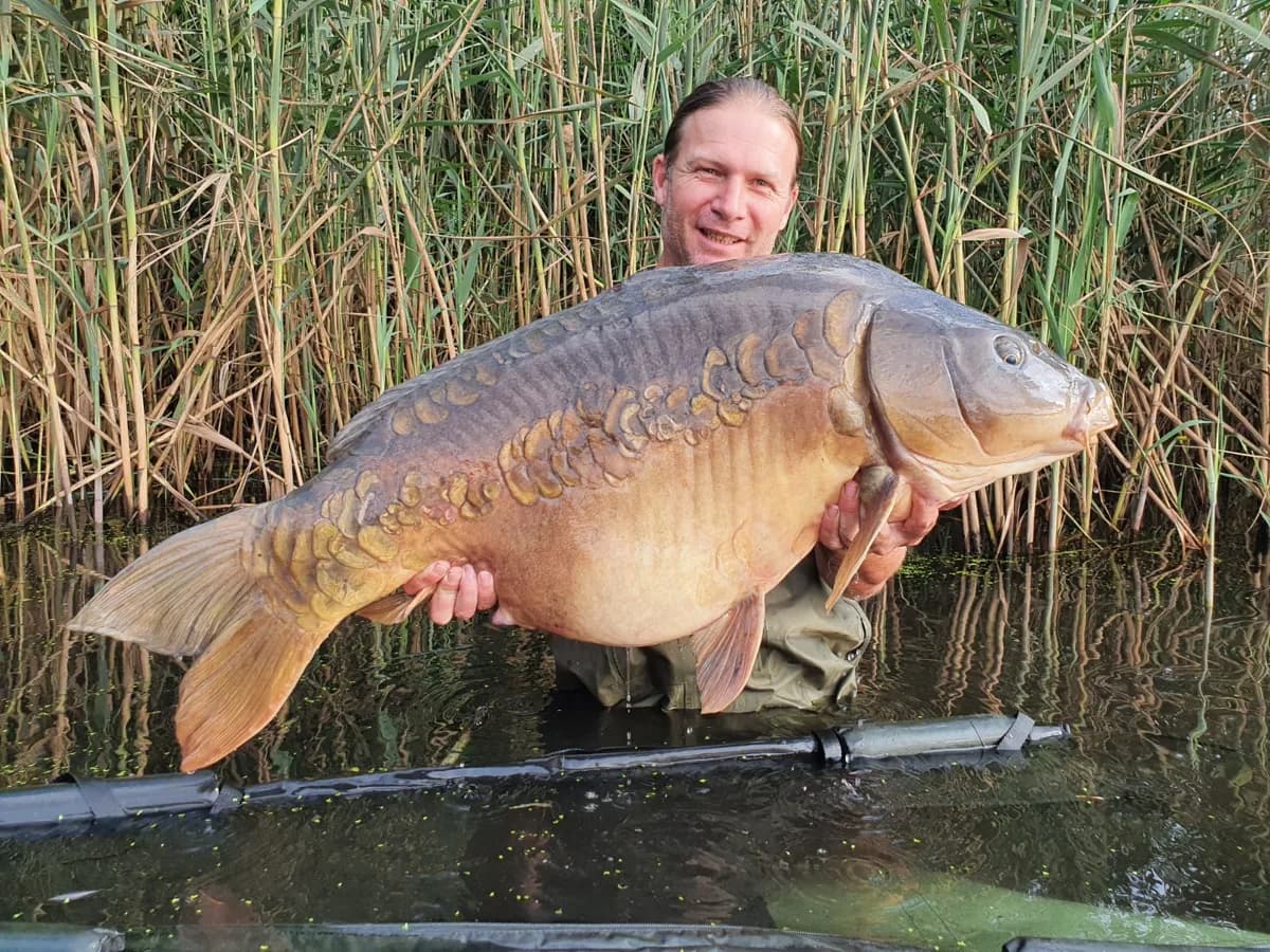 Customer carp catch on Mean Baits – photo 12