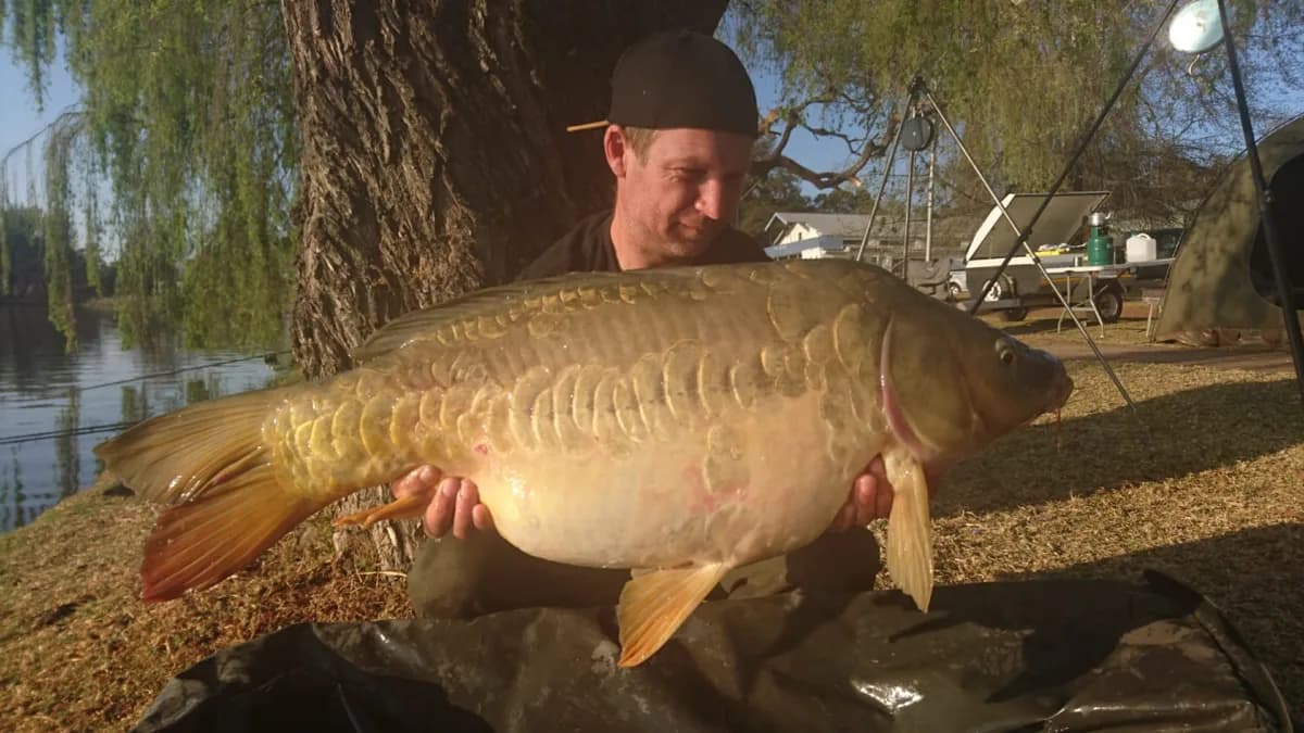 Customer carp catch on Mean Baits – photo 18