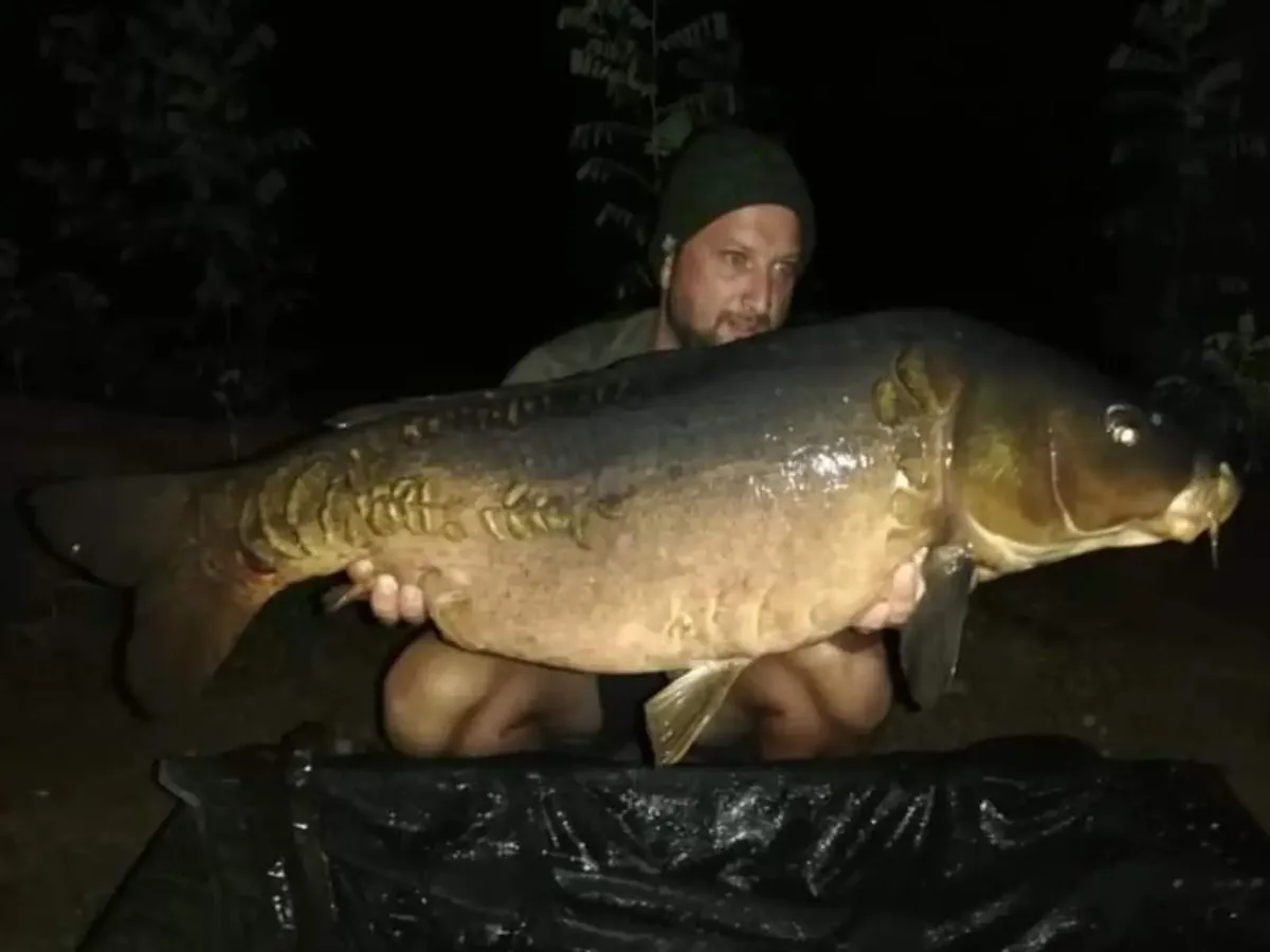 Customer carp catch on Mean Baits – photo 19