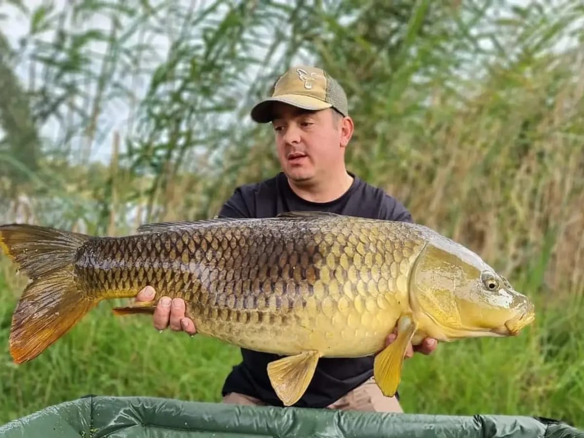 Customer carp catch on Mean Baits – photo 22