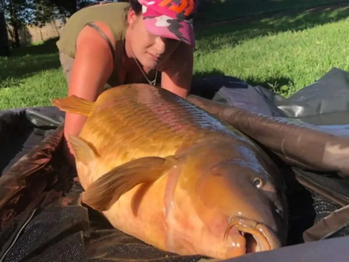 Customer carp catch on Mean Baits – photo 23