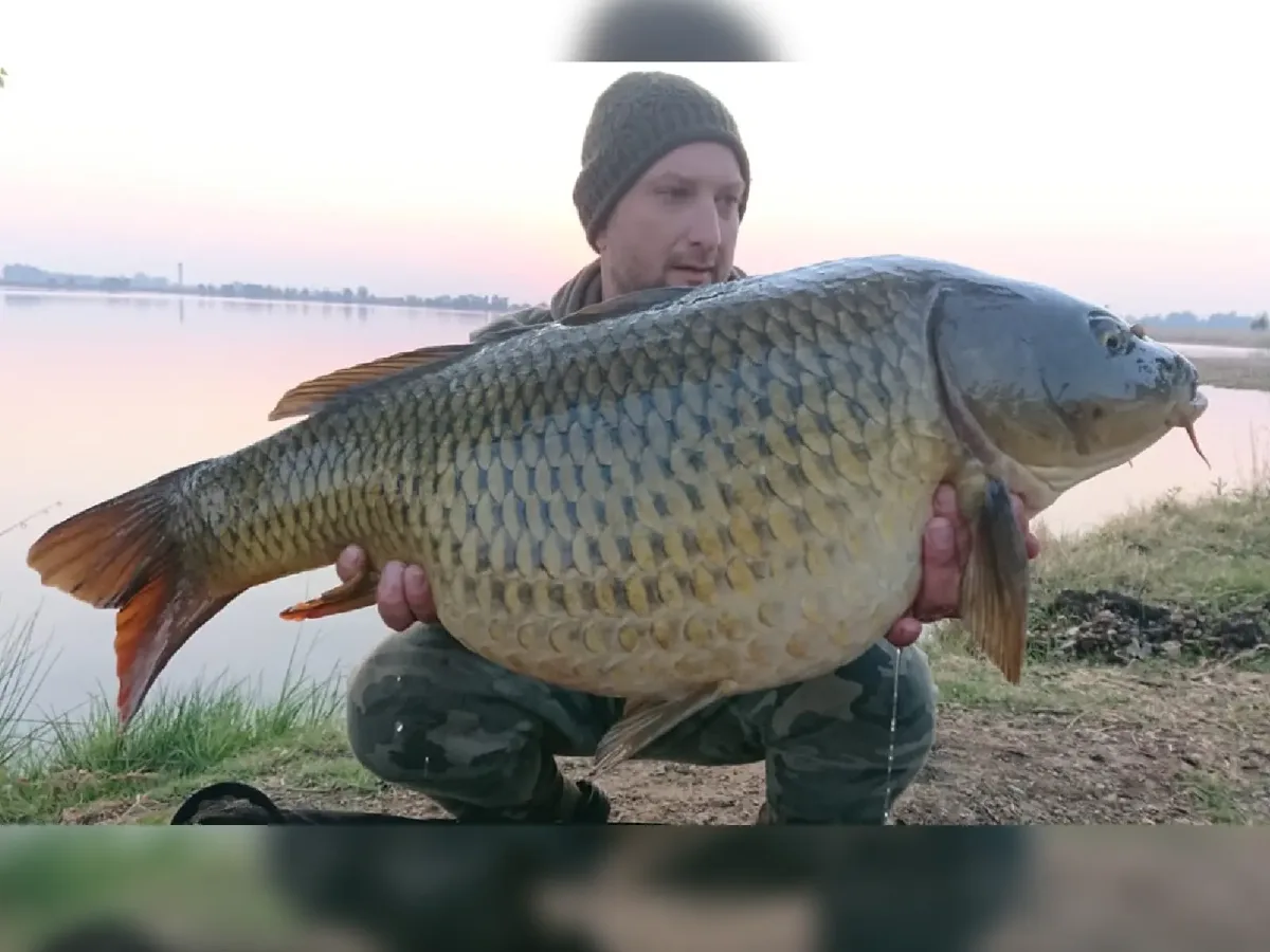 Customer carp catch on Mean Baits – photo 25