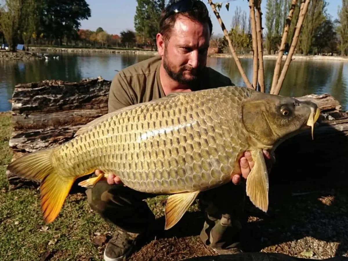 Customer carp catch on Mean Baits – photo 26
