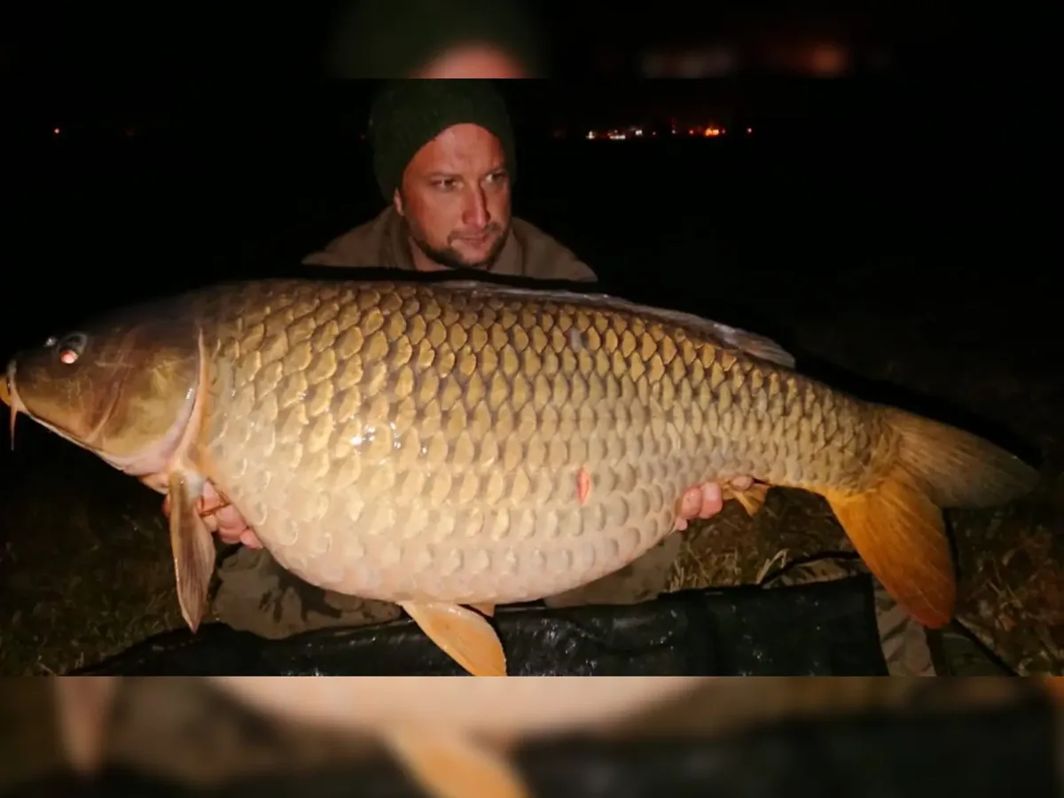 Customer carp catch on Mean Baits – photo 27