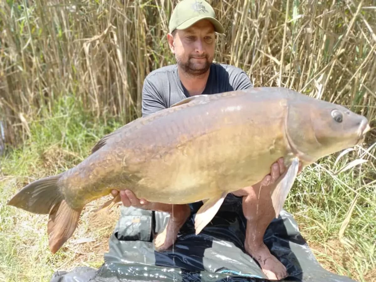 Customer carp catch on Mean Baits – photo 28
