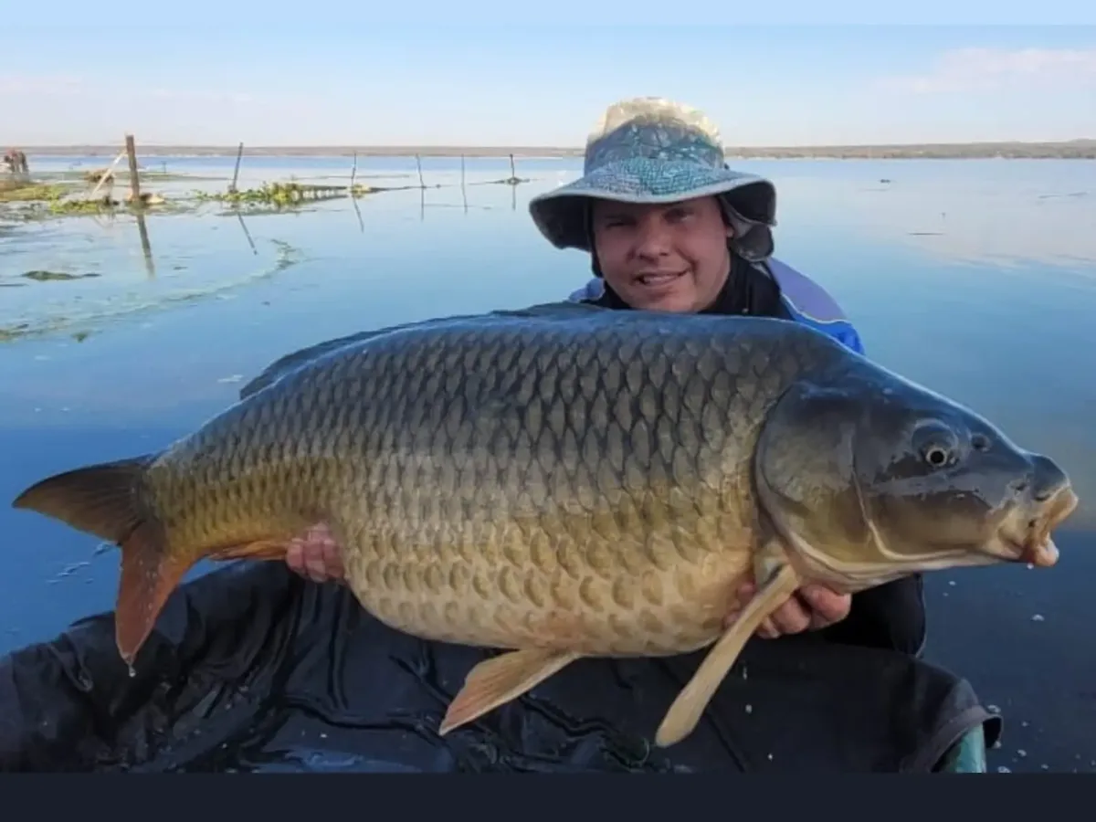 Customer carp catch on Mean Baits – photo 29