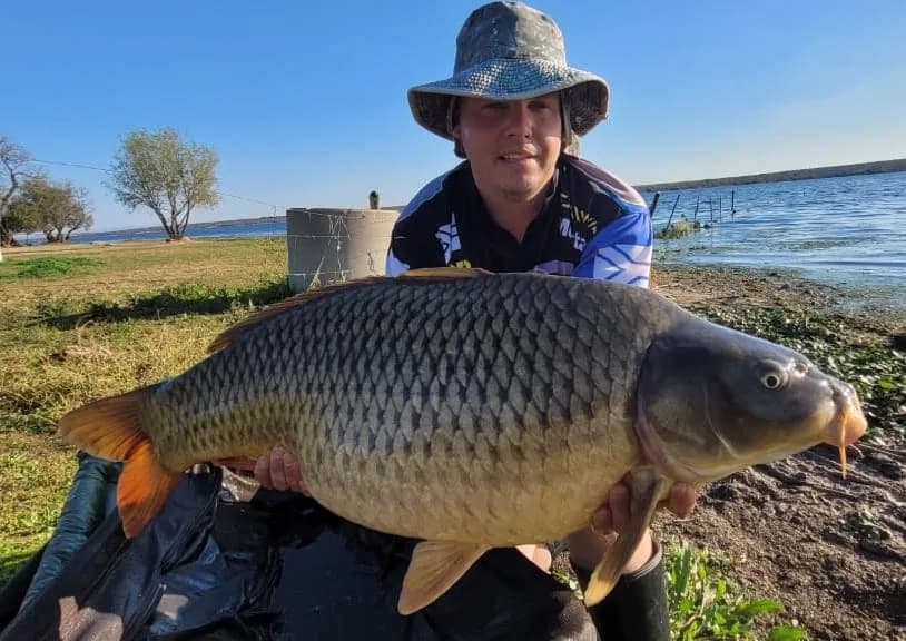Customer carp catch on Mean Baits – photo 32