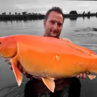 Customer carp catch on Mean Baits – photo 33