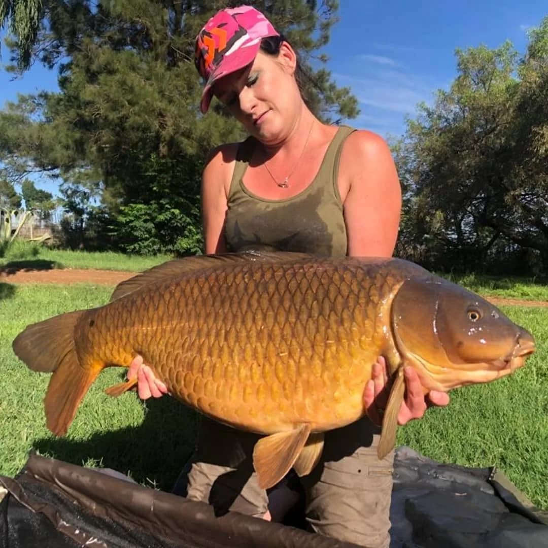 Carp caught by a Mean Baits angler – catch photo 1
