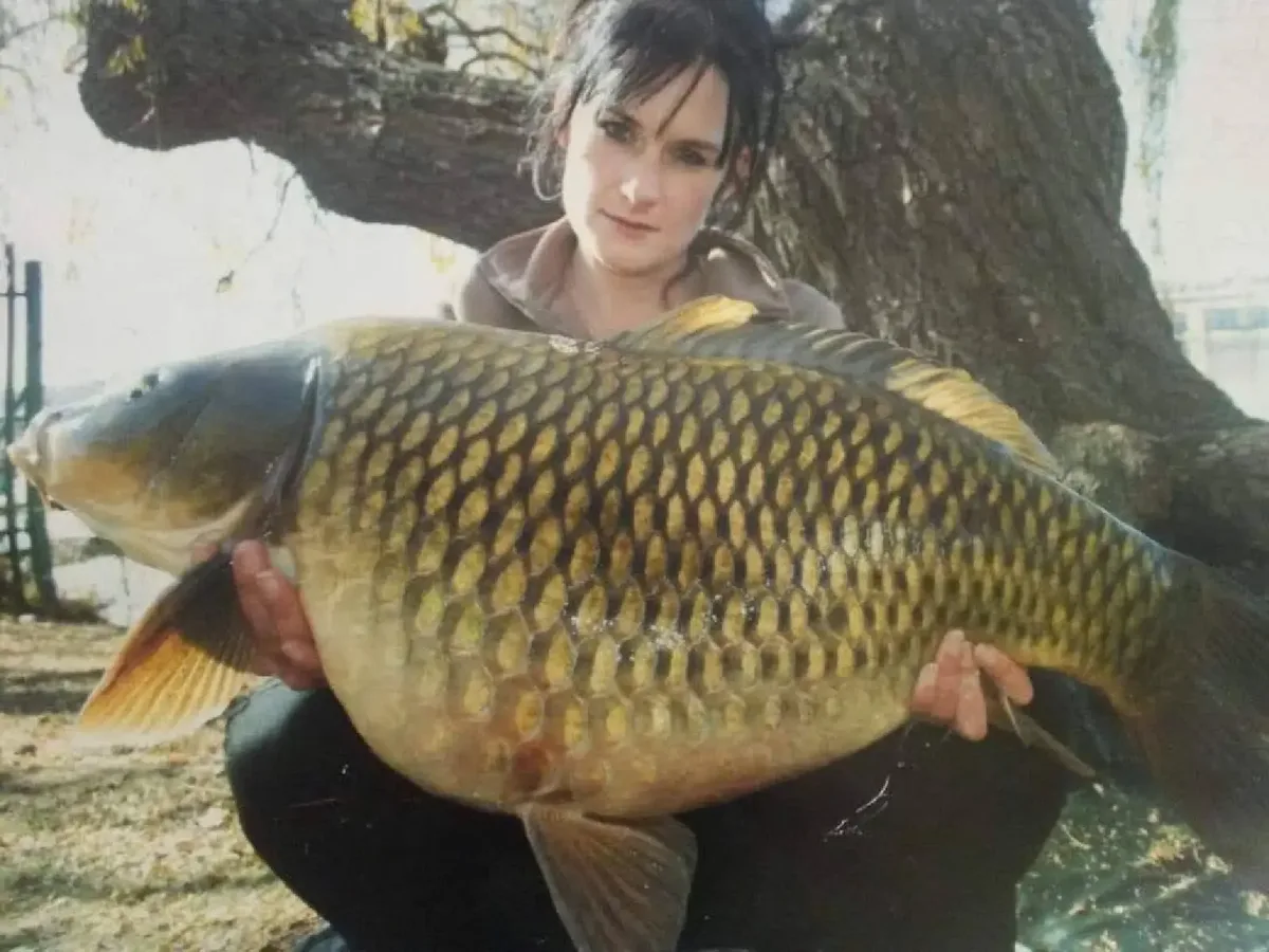 Carp caught by a Mean Baits angler – catch photo 2