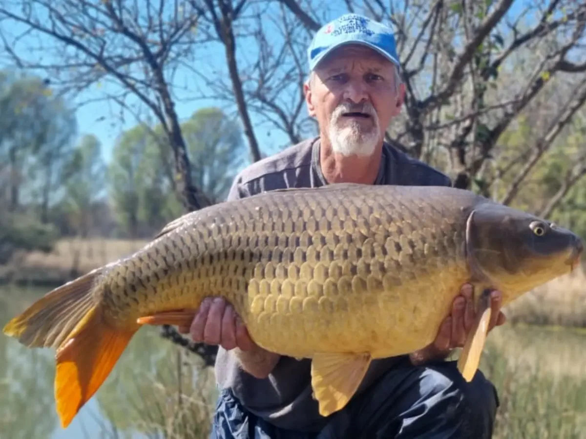 Carp caught by a Mean Baits angler – catch photo 4