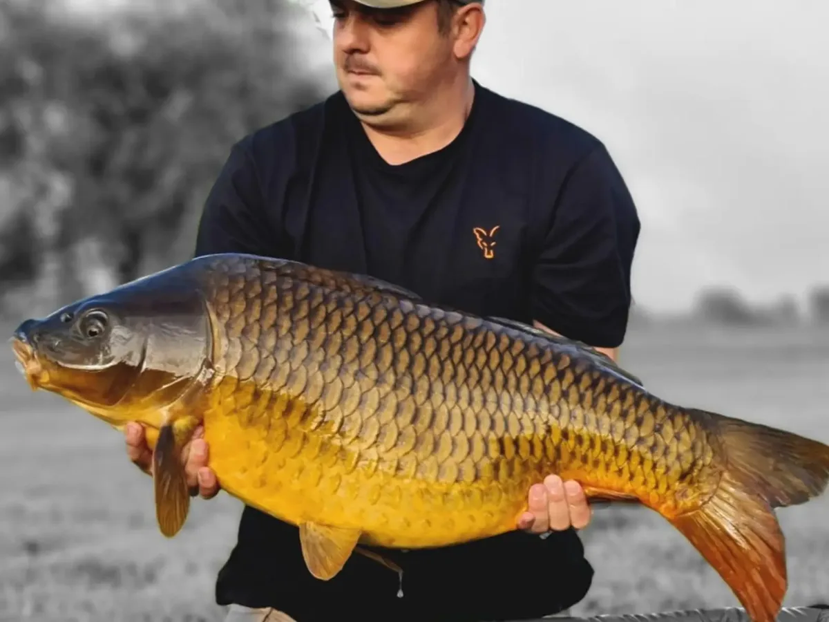 Carp caught by a Mean Baits angler – catch photo 5