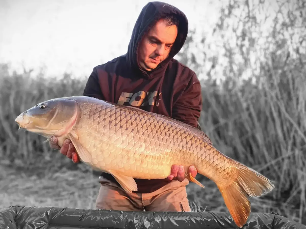 Carp caught by a Mean Baits angler – catch photo 6