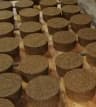 Mean Baits Gorilla Blocks – new stock